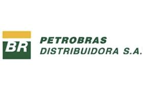 público 8