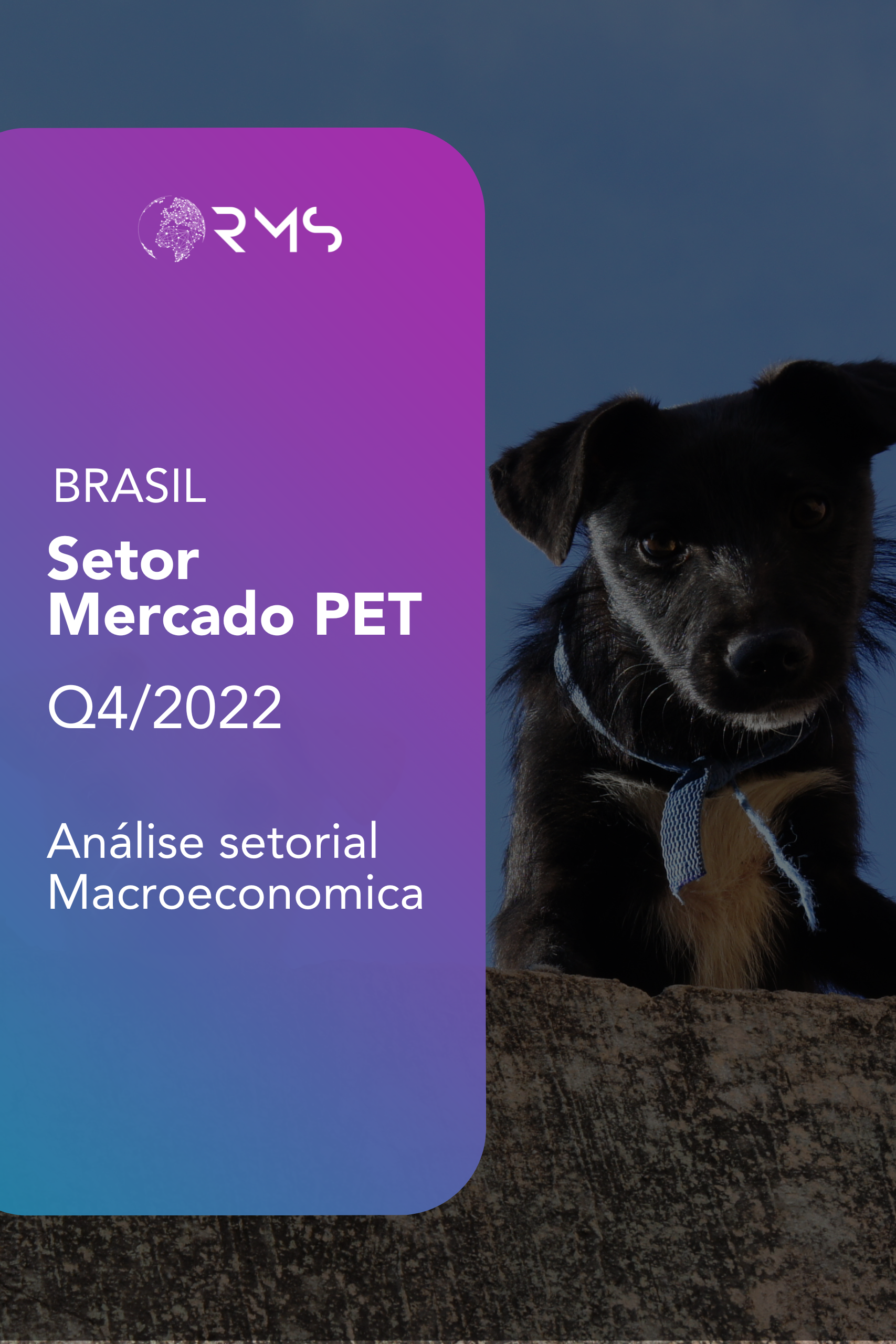 Nova Capa Principais